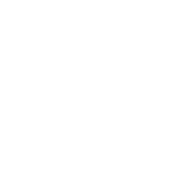 TestoTim Logo